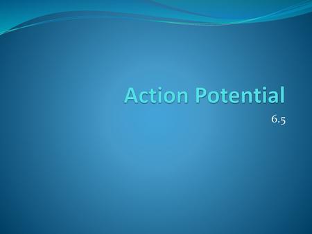 Action Potential 6.5.