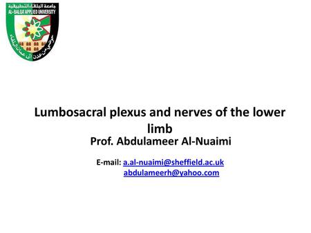 Lumbosacral plexus and nerves of the lower limb