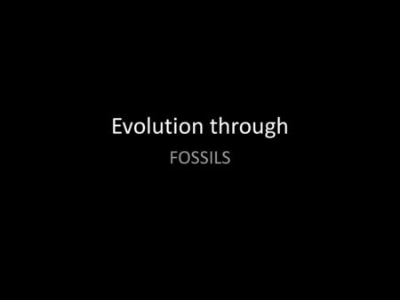Evolution through FOSSILS.