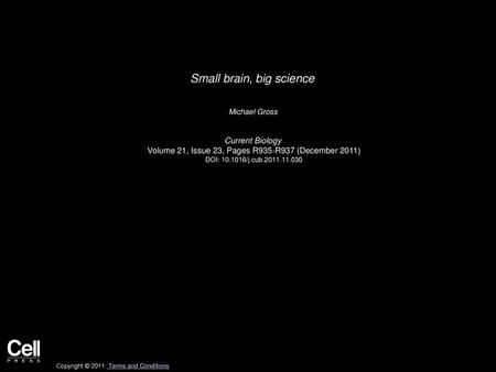 Small brain, big science