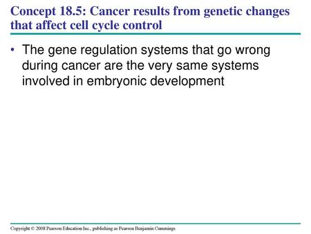 Concept 18.5: Cancer results from genetic changes that affect cell cycle control The gene regulation systems that go wrong during cancer are the very same.