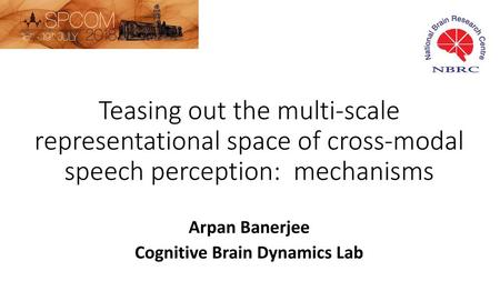 Cognitive Brain Dynamics Lab