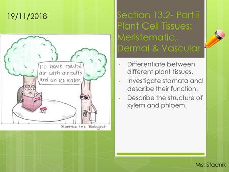 Section Part ii Plant Cell Tissues: Meristematic, Dermal & Vascular