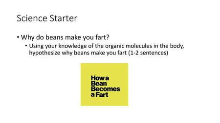Science Starter Why do beans make you fart?