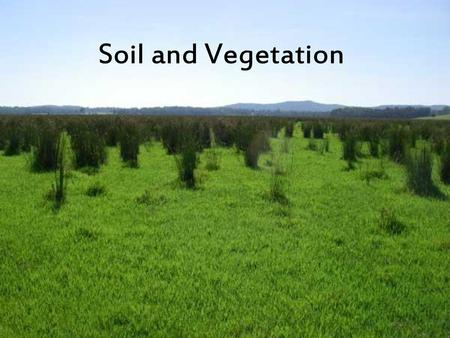 Soil and Vegetation.