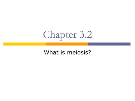 Chapter 3.2 What is meiosis?.