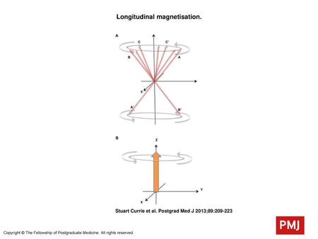 Longitudinal magnetisation.