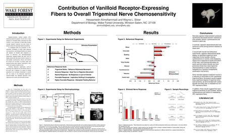 Contribution of Vanilloid Receptor-Expressing