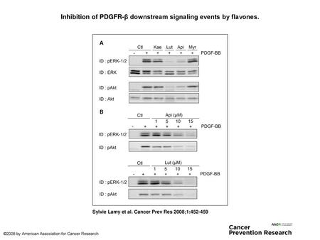 Inhibition of PDGFR-β downstream signaling events by flavones.
