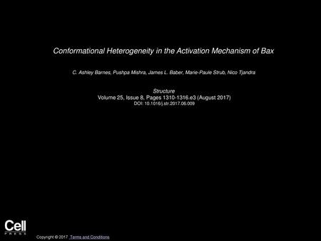 Conformational Heterogeneity in the Activation Mechanism of Bax