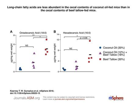Long-chain fatty acids are less abundant in the cecal contents of coconut oil-fed mice than in the cecal contents of beef tallow-fed mice. Long-chain fatty.