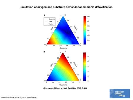 Simulation of oxygen and substrate demands for ammonia detoxification.