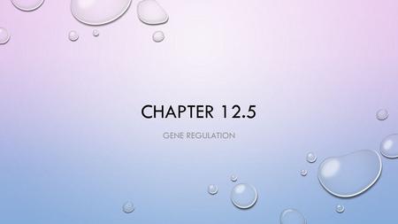 Chapter 12.5 Gene Regulation.