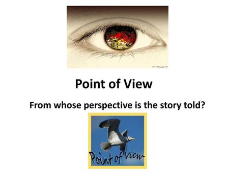 From whose perspective is the story told?