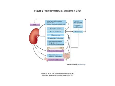 Figure 2 Proinflammatory mechanisms in CKD