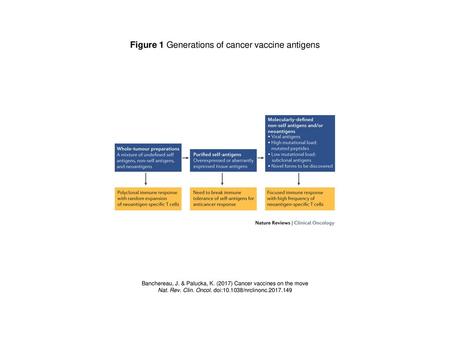 Figure 1 Generations of cancer vaccine antigens
