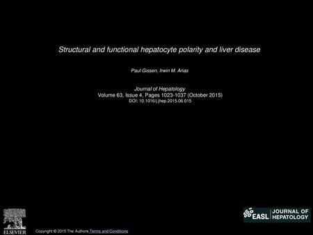 Structural and functional hepatocyte polarity and liver disease