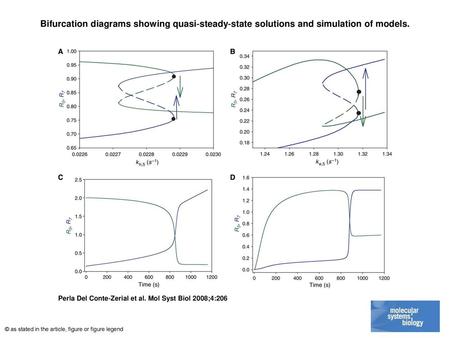Bifurcation diagrams showing quasi‐steady‐state solutions and simulation of models. Bifurcation diagrams showing quasi‐steady‐state solutions and simulation.