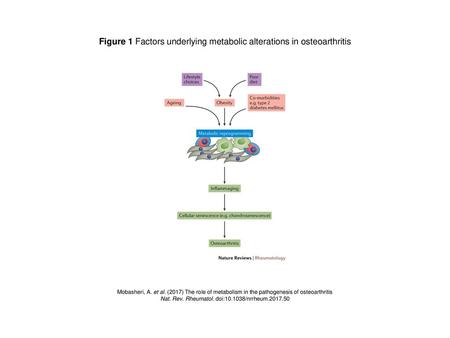 Figure 1 Factors underlying metabolic alterations in osteoarthritis
