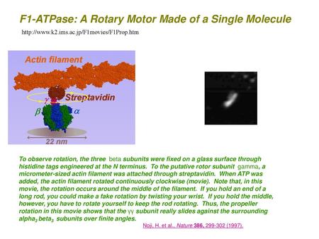 F1-ATPase: A Rotary Motor Made of a Single Molecule