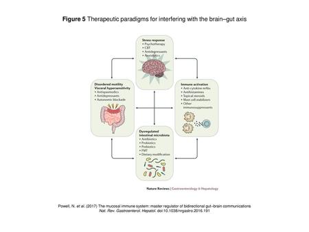 Figure 5 Therapeutic paradigms for interfering with the brain–gut axis