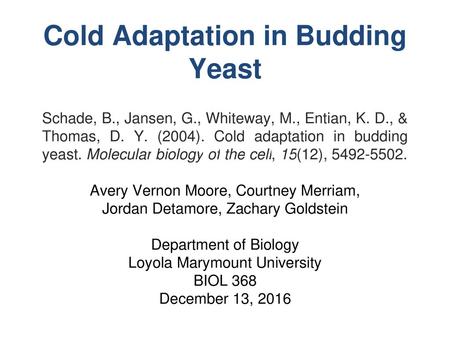 Cold Adaptation in Budding Yeast