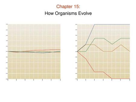 Chapter 15: How Organisms Evolve.