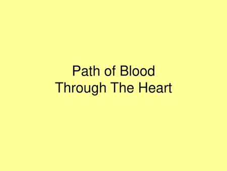 Path of Blood Through The Heart