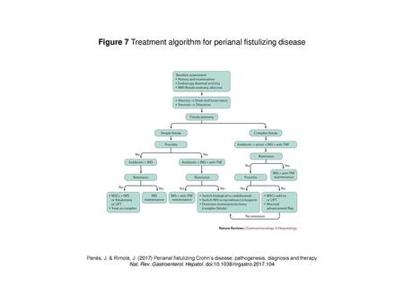 Figure 7 Treatment algorithm for perianal fistulizing disease