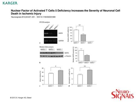 Nuclear Factor of Activated T Cells 5 Deficiency Increases the Severity of Neuronal Cell Death in Ischemic Injury Neurosignals 2012;20:237–251 - DOI:10.1159/000331899.
