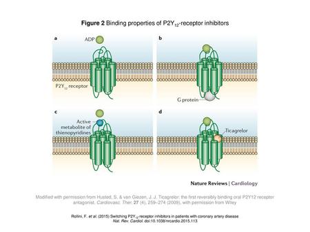 Figure 2 Binding properties of P2Y12-receptor inhibitors