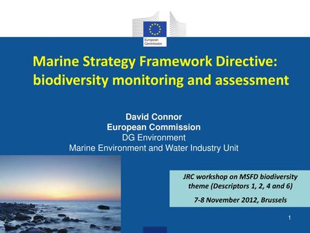 JRC workshop on MSFD biodiversity theme (Descriptors 1, 2, 4 and 6)