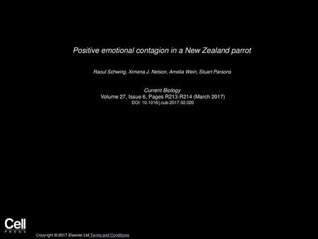 Positive emotional contagion in a New Zealand parrot