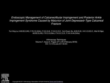 Endoscopic Management of Calcaneofibular Impingement and Posterior Ankle Impingement Syndrome Caused by Malunion of Joint Depressed–Type Calcaneal Fracture 