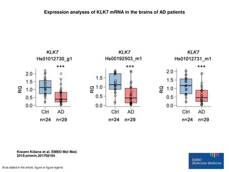 Expression analyses of KLK7 mRNA in the brains of AD patients