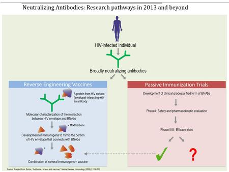 ? Neutralizing Antibodies: Research pathways in 2013 and beyond