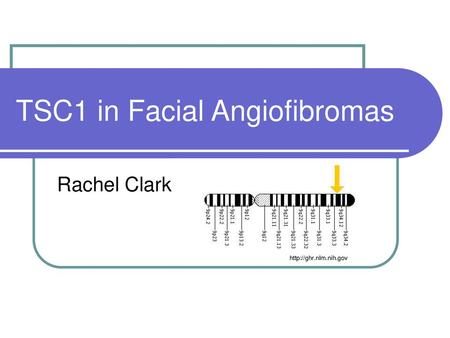 TSC1 in Facial Angiofibromas