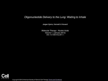 Oligonucleotide Delivery to the Lung: Waiting to Inhale