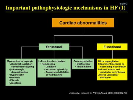 Important pathophysiologic mechanisms in HF (1)