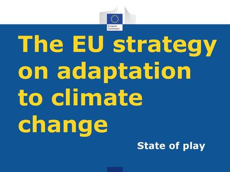 The EU strategy on adaptation to climate change