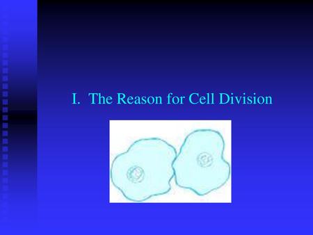 I. The Reason for Cell Division