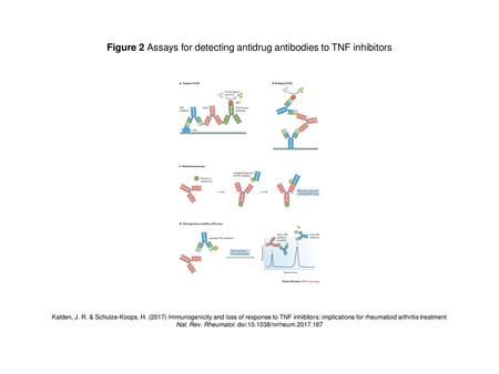 Figure 2 Assays for detecting antidrug antibodies to TNF inhibitors