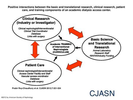 Positive interactions between the basic and translational research, clinical research, patient care, and training components of an academic dialysis access.