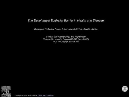 The Esophageal Epithelial Barrier in Health and Disease