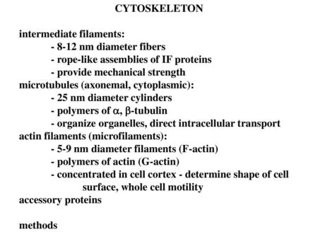 CYTOSKELETON intermediate filaments: nm diameter fibers