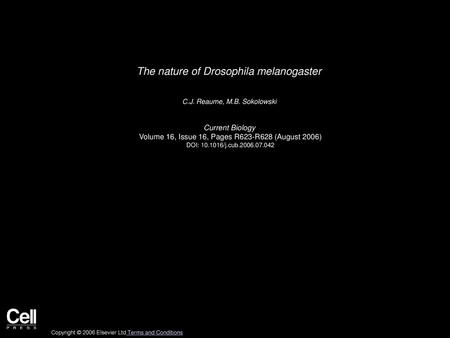 The nature of Drosophila melanogaster