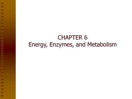CHAPTER 6 Energy, Enzymes, and Metabolism