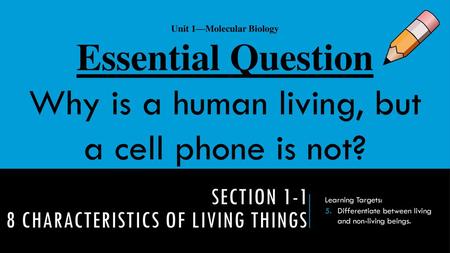 Section characteristics of living things