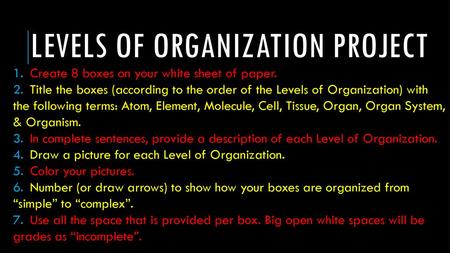 Levels of Organization Project