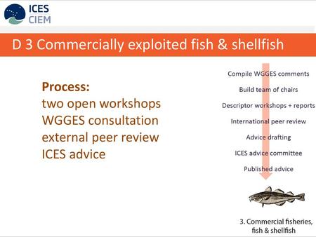 D 3 Commercially exploited fish & shellfish